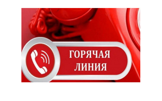 О «горячей линии» по поддержке предпринимательства