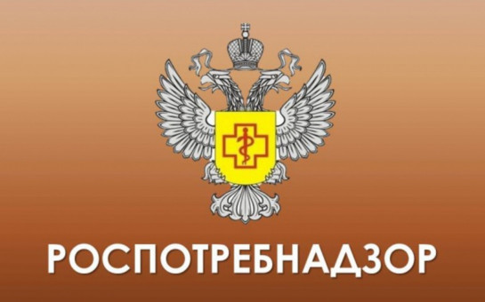 Проведение «горячей линии»