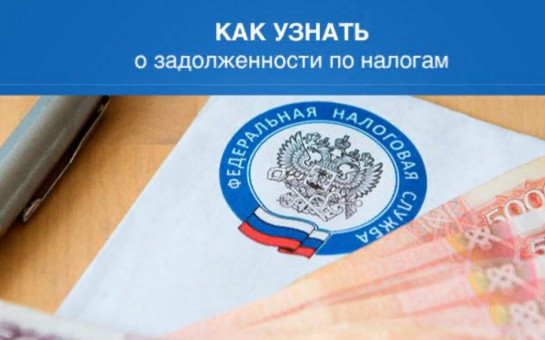 Сведения о налоговой задолженности можно получить в МФЦ