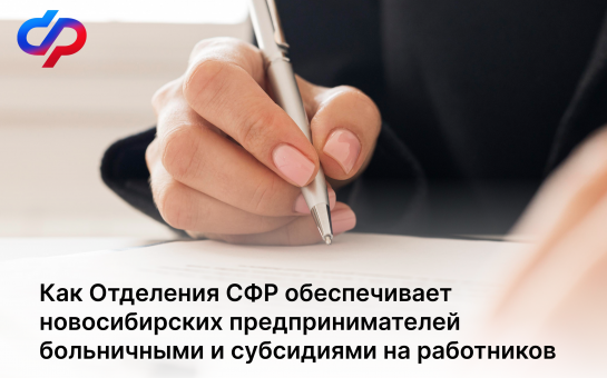Как Отделения СФР обеспечивает новосибирских предпринимателей больничными и субсидиями на работников